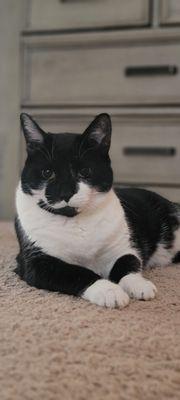 Photo of Dexter V.