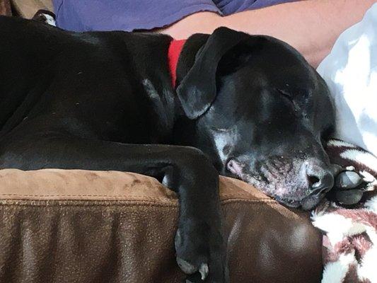 photo of STEPHANIE G.