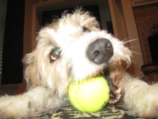 Photo of Carley H.