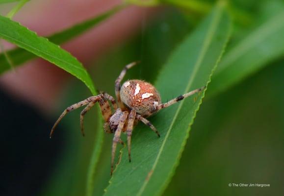 photo of The Other Jim H.