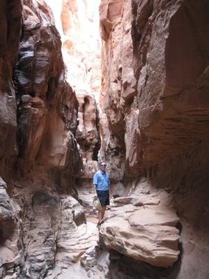 Photo of steve p.