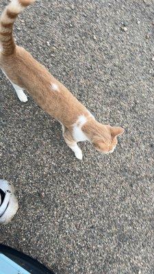 photo of Isabella J.