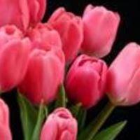 photo of Ofelianica G.