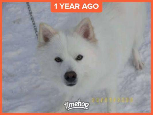 photo of Michelle M.