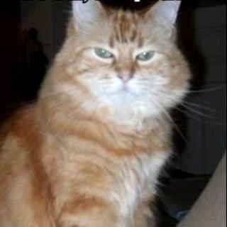 photo of Jonathan J.