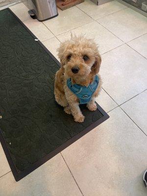 photo of Francesca C.