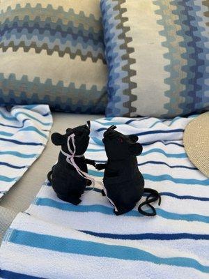 photo of TravelRats T.