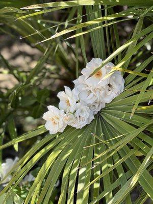 photo of Jennifer E.