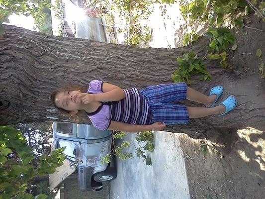 Photo of Maritsa N.
