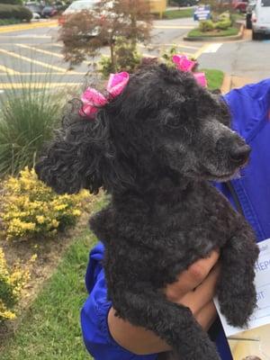 photo of Too Blessed to B Stressed S.