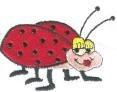 photo of Ladybug C.