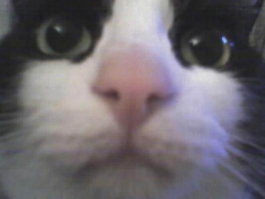 Photo of Kasey C.