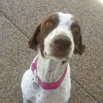 photo of LindaLew- W.