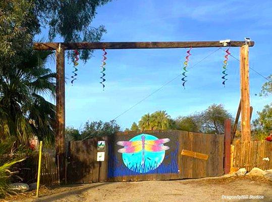 photo of DragonflyHill C.