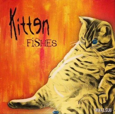 Photo of Somisomi S.