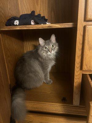 Photo of Hunter L.