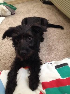 photo of Stephanie N.