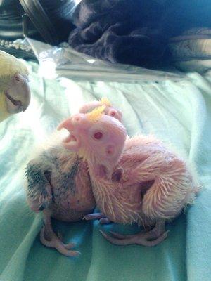 photo of Cynthia A A.