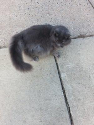 photo of Victoria N.