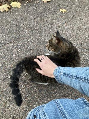 photo of Totally Professional P.