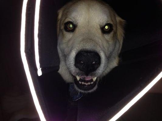 photo of Lorrinda L.