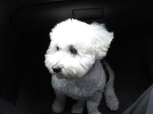 photo of Elizabeth G.