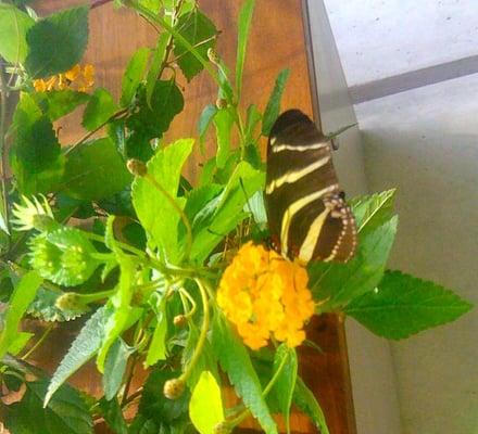 Photo of DynamicDuo D.