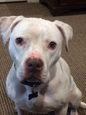 photo of Cody-Cindy D.