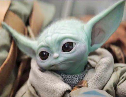 photo of ShotCaller 1.