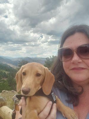 Photo of Lisa S.