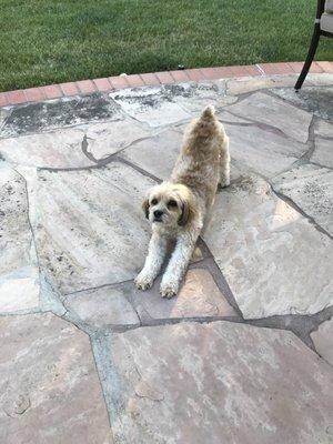 photo of bernadette m.