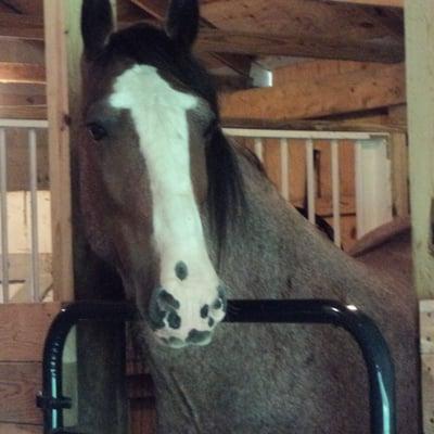 photo of Elizabeth D.