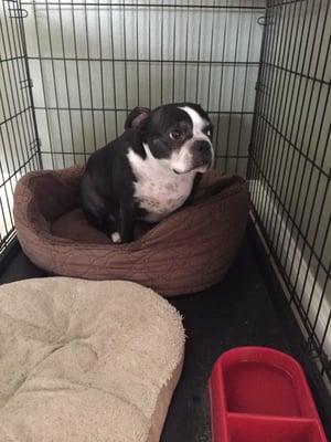 photo of Jennifer N.