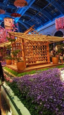 photo of Armygirl F.