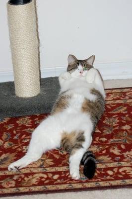 Photo of Samantha J.