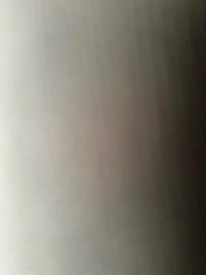 Photo of Adriana G.