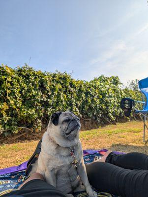 photo of Ghallagher B.