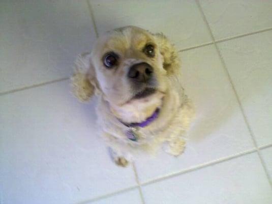 photo of Miss Marie R.