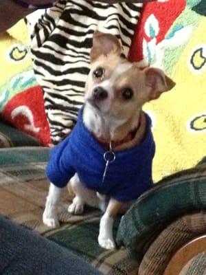 Photo of Jerri M.