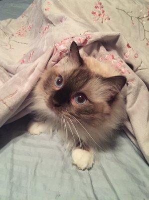 Photo of Kimberly M.