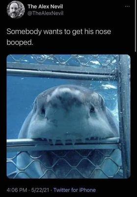 Photo of Blue B.