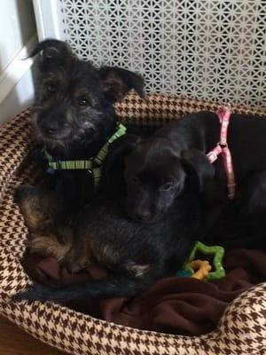 photo of Caroline W.