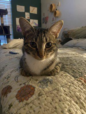 Photo of Rodricks W.