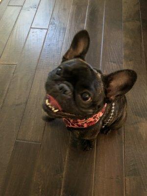 Photo of Sammie S.
