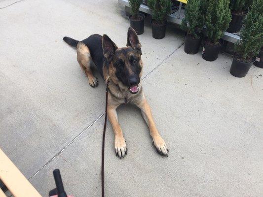 photo of Marilark M.