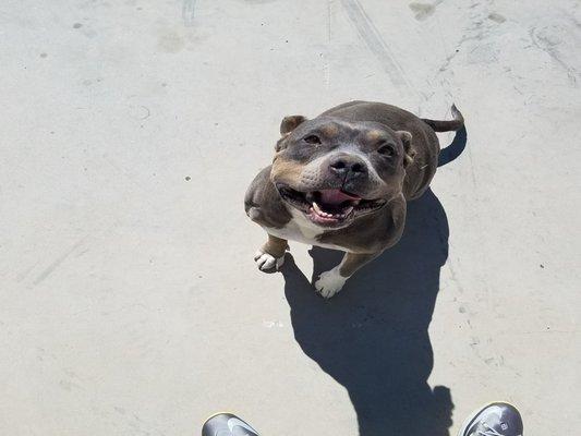 Photo of Chaliewhalie77 ..