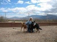 Photo of Donna G.
