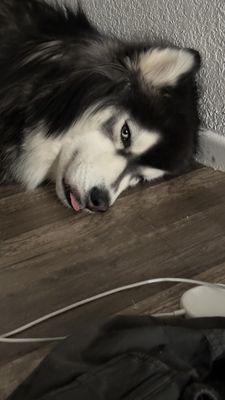 photo of Christopher G.