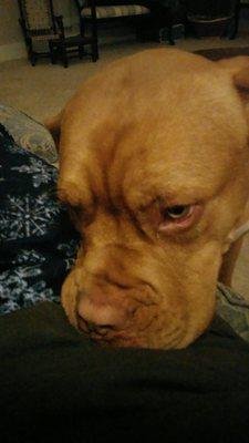 photo of Kimberly C.