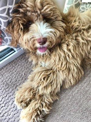 photo of krystina g.